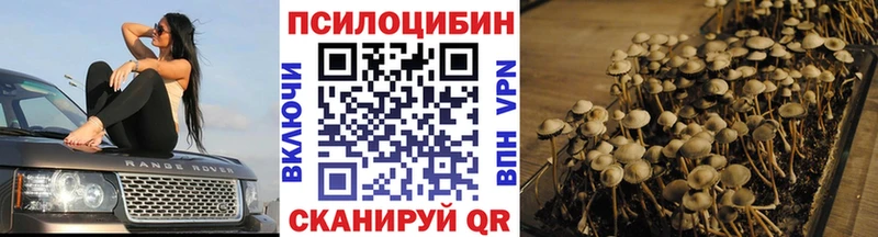 Псилоцибиновые грибы Cubensis  Светлоград 